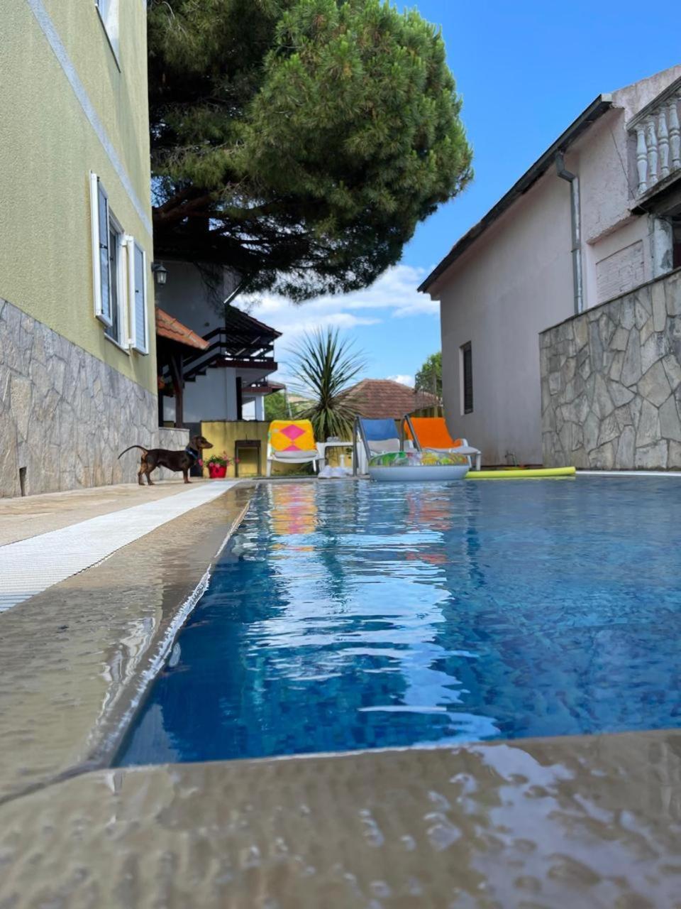 Apartments Villa-G Lustica Тиват Экстерьер фото